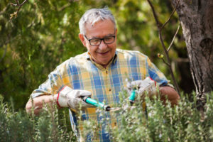 Independent Living and Gardening Tips