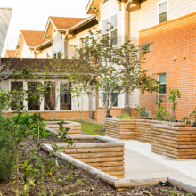 Cognitive Support Raised Garden Beds - Holly Hall - Senior Apartments Independent Living in Houston Tx