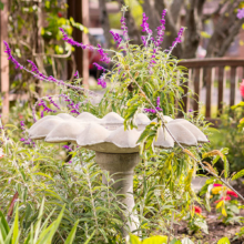 Health Services & Rehab Blooming Gardens at Holly Hall in Houston Texas - Senior Apartments Independent Living