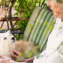 Independent Living Pet Friendly Retirement Community - Holly Hall in Houston Texas